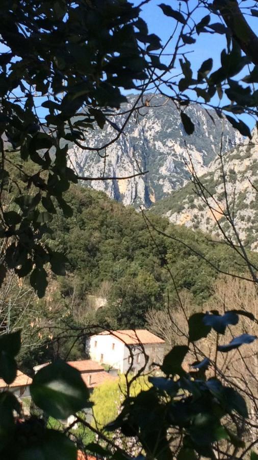 Aude Escape Bed and Breakfast Saint-Martin-Lys Esterno foto